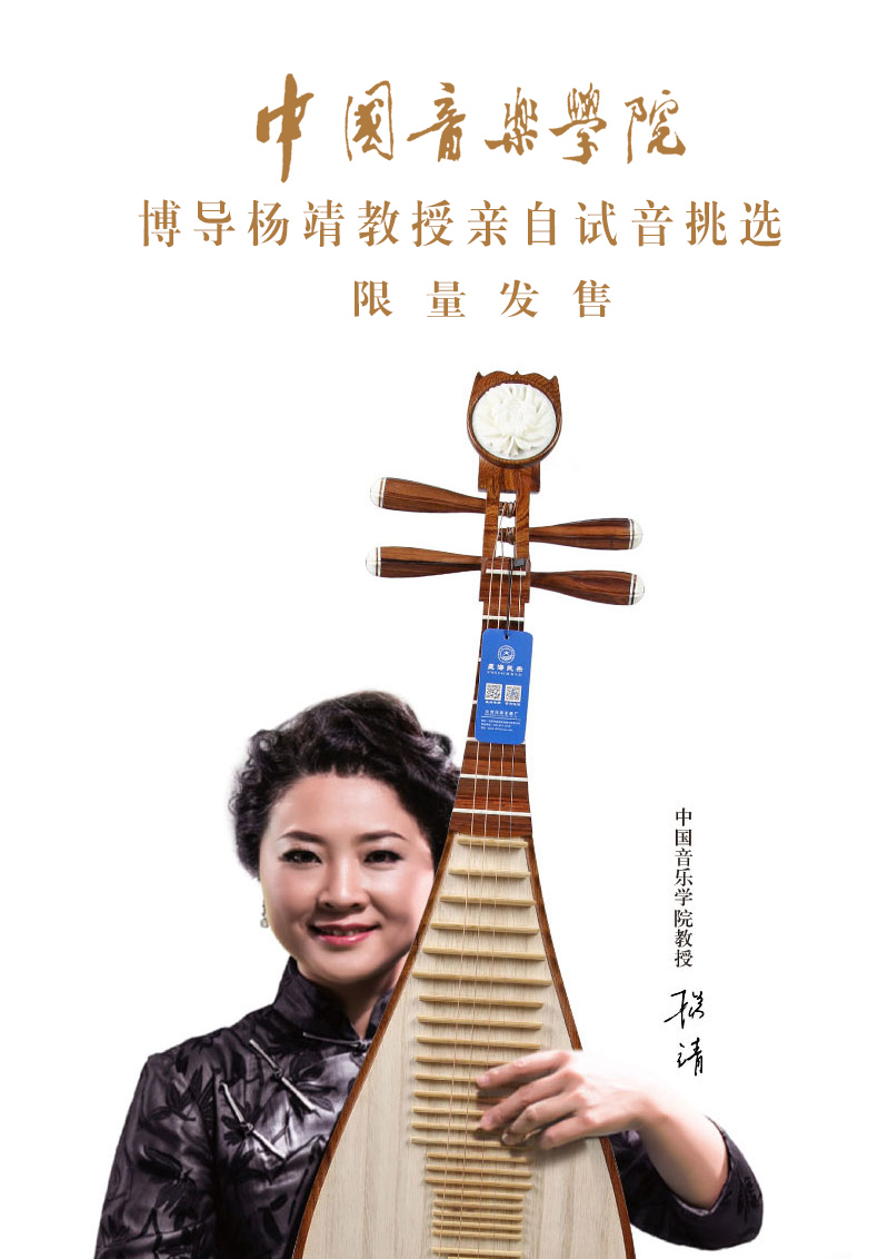 杨靖抱琵琶2.jpg